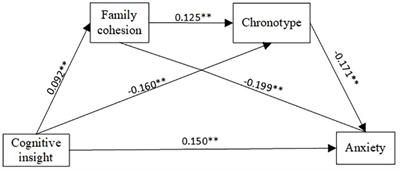 Association between cognitive insight and anxiety among community-dwelling schizophrenia patients: the chain mediating effects of family cohesion and chronotype